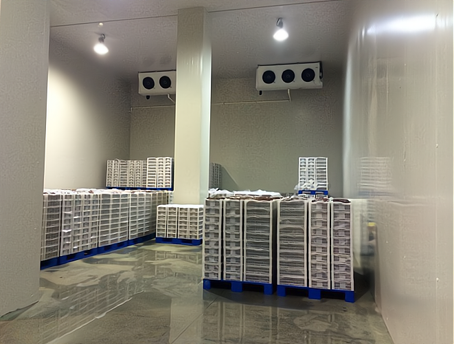 開一個雪糕批發冷庫 專業指導，創業無憂！預包裝食品批發策略