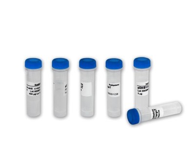 龍旸生物科技 專業(yè)生物技術(shù)開(kāi)發(fā)與服務(wù)的行業(yè)先鋒