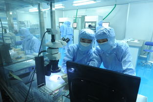 美迪西 分子生物學(xué)與生物技術(shù)開發(fā)服務(wù)，驅(qū)動(dòng)創(chuàng)新藥物研發(fā)